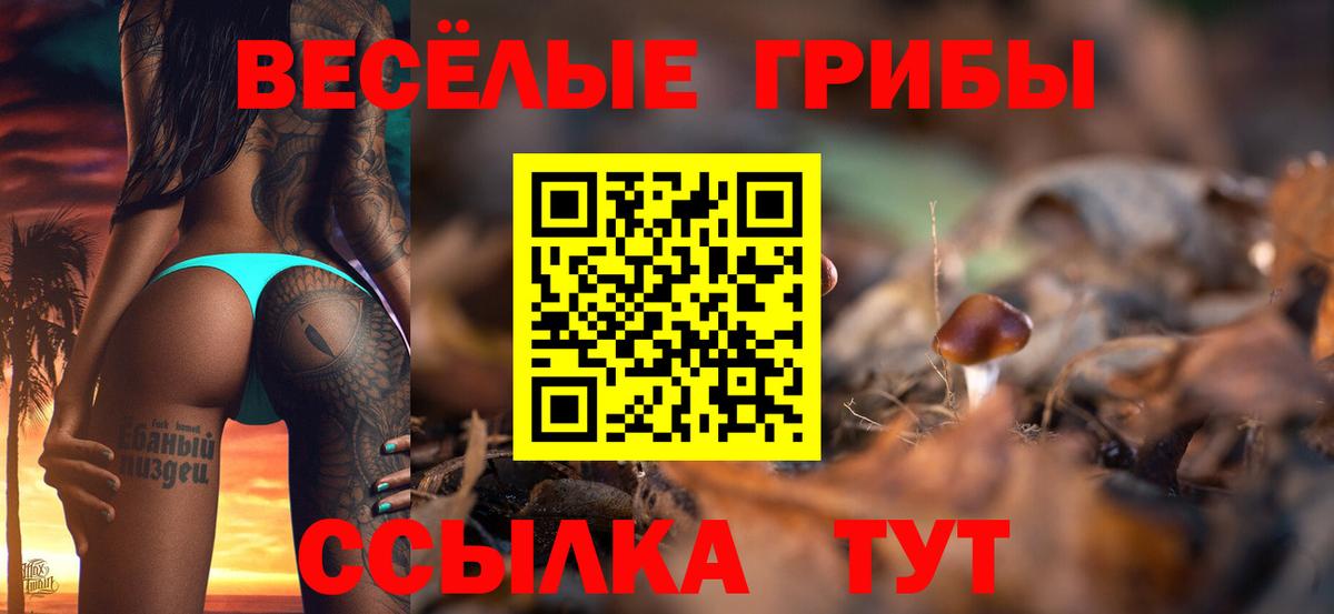 Галлюциногенные грибы прущие грибы  Псилоцибиновые грибы мицелий  Вход с VPN  Кировск 